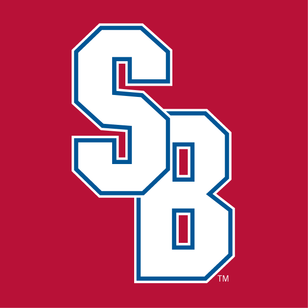 Stony Brook Seawolves 2008-Pres Alternate Logo v3 iron on transfers for clothing